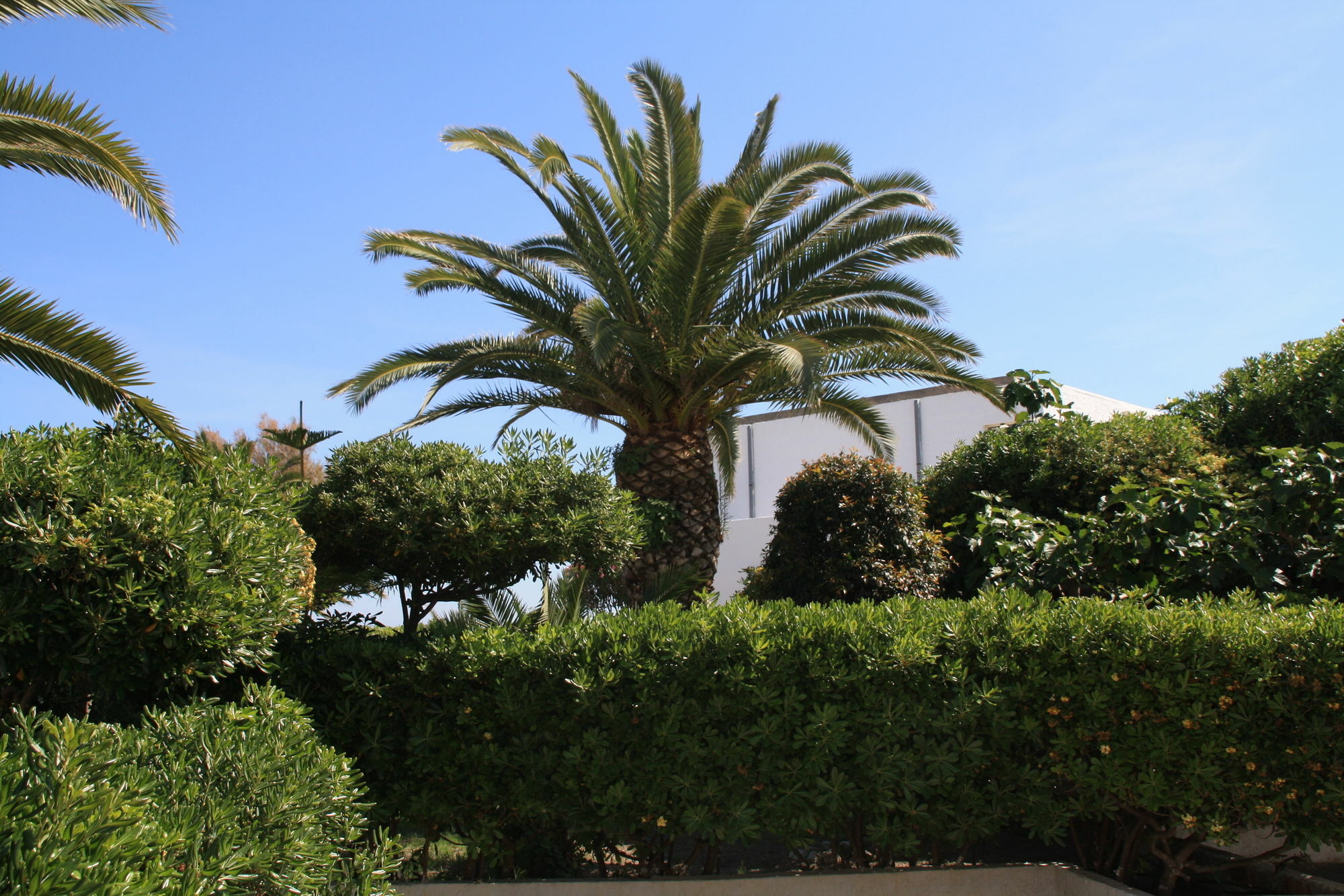 Hotel Villaggio Club Altalia Residence Brancaleone エクステリア 写真